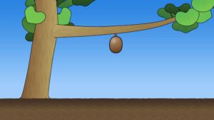 キウイフルーツのアニメ