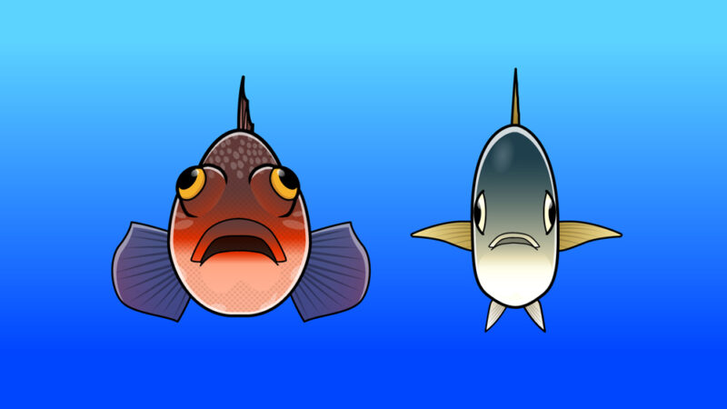 0以上 魚 正面 イラスト