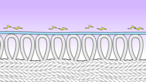 タオルと摩擦のイラスト