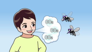 二酸化炭素と蚊