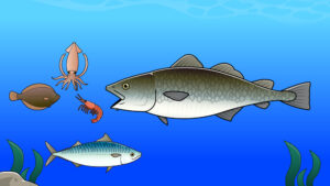 たらの食事のイラスト