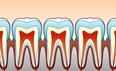 テレビ番組イラスト合同会社こころえ パート 16