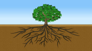 お茶の木の根のイラスト