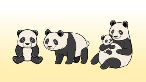 パンダのイラスト