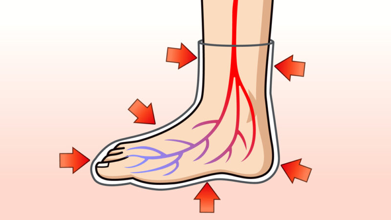 靴下と血流の関係性説明用