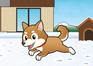 犬が雪の中を走り回る様子