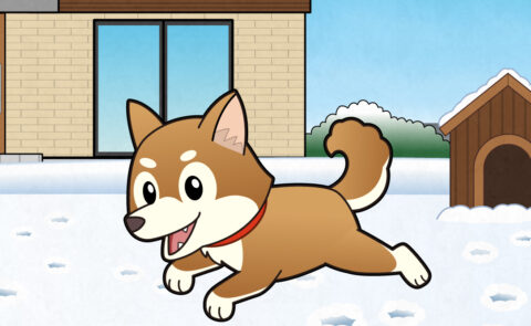 犬が雪の中を走り回る様子