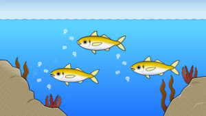 海中にいるアジ