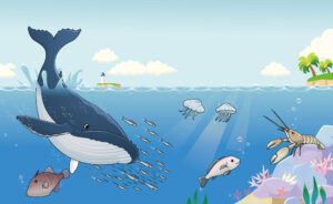 クジラと海の中