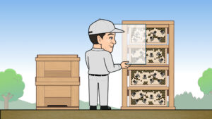 ミツバチを移動する2