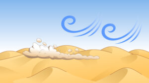 砂丘に風が吹く様子